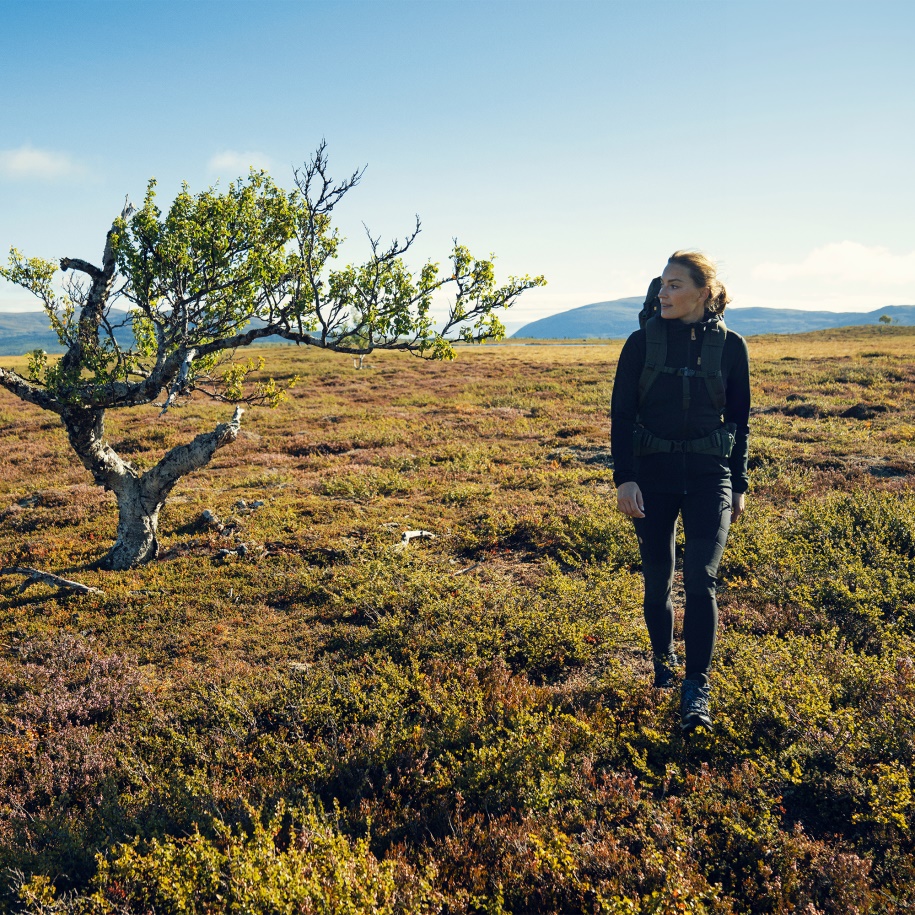 Abisko Trekking Taytı Fjällräven Lacivert