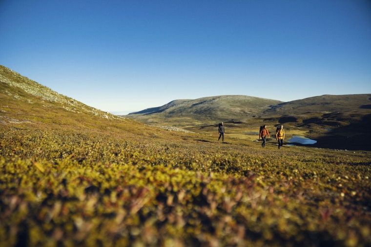 Abisko Lite Trekking Pantolonu M Uzun Fjällräven Zeytin