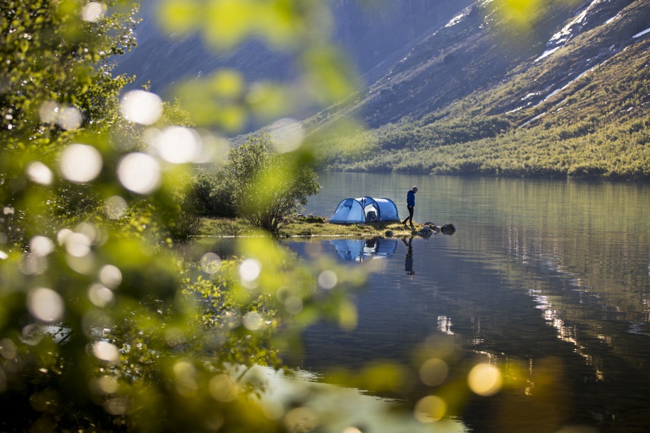 Abisko Dayanıklılık 3 Fjällraven çam Yeşili